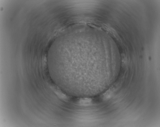 X0000071960369200607282039