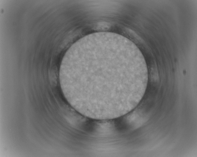 X0000071960370200607282039