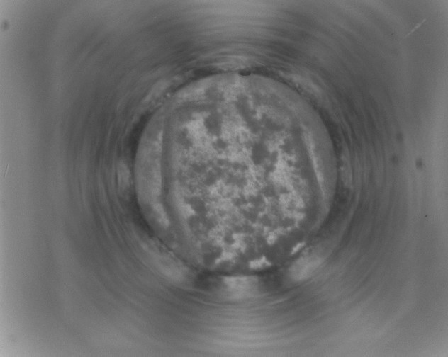 X0000071960371200607282039