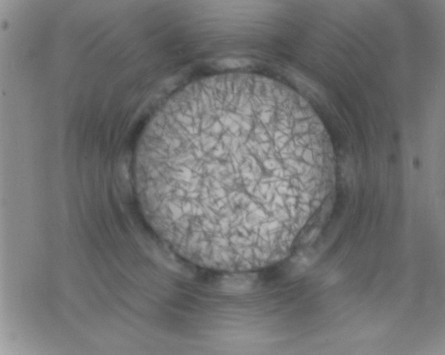 X0000071960373200607282039