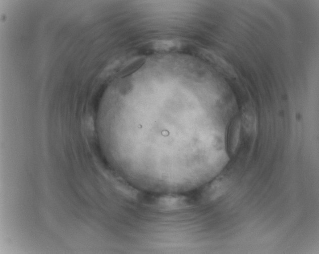 X0000071960375200607282039