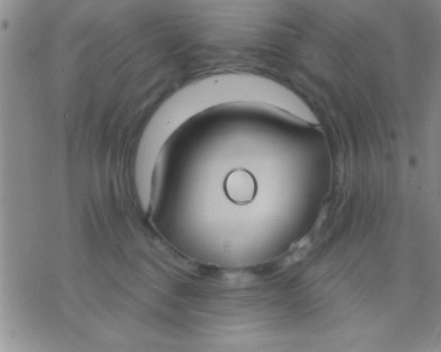 X0000071960376200607282039