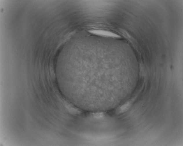 X0000071960377200607282039