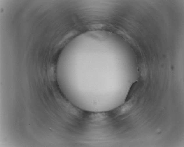 X0000071960378200607282039