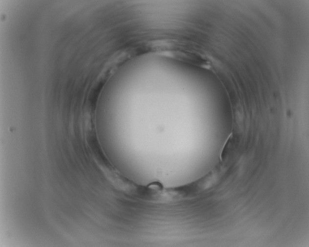 X0000071960379200607282039