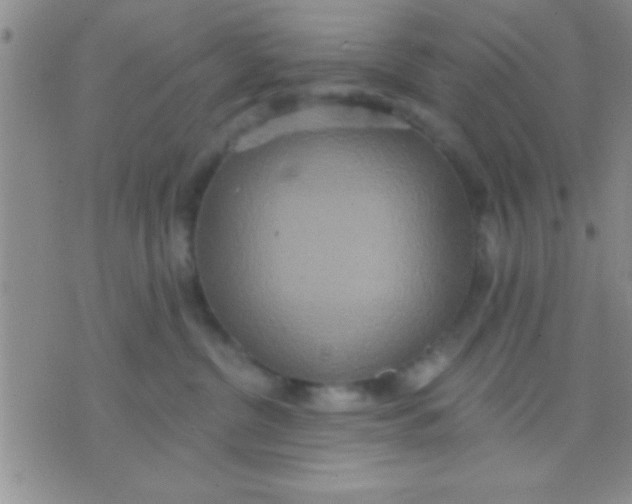 X0000071960380200607282039