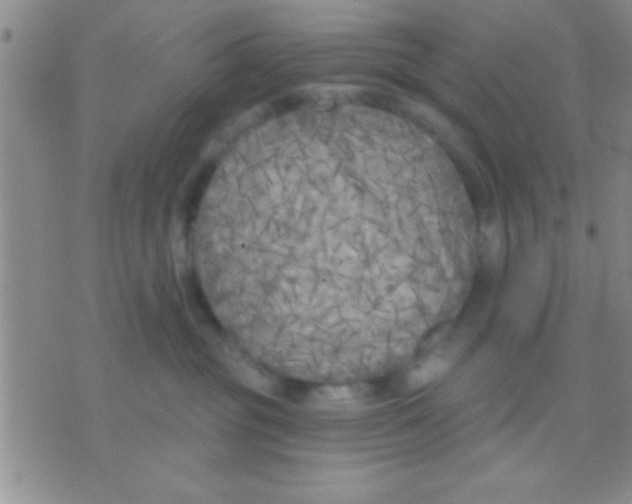 X0000071960381200607282039