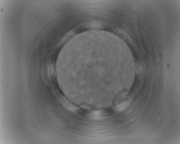 X0000071960382200607282039