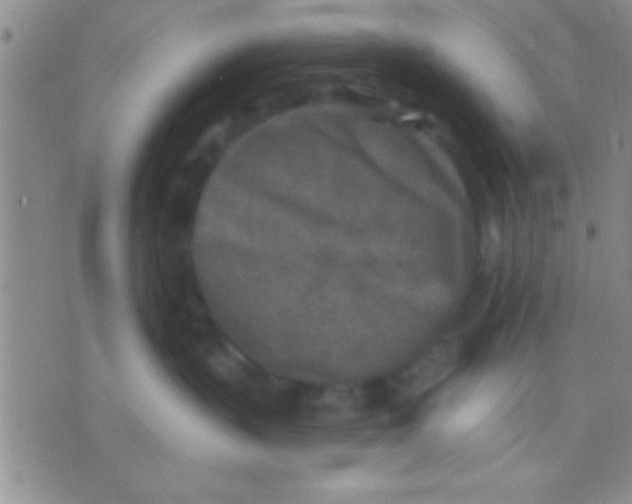 X0000071960383200607282039