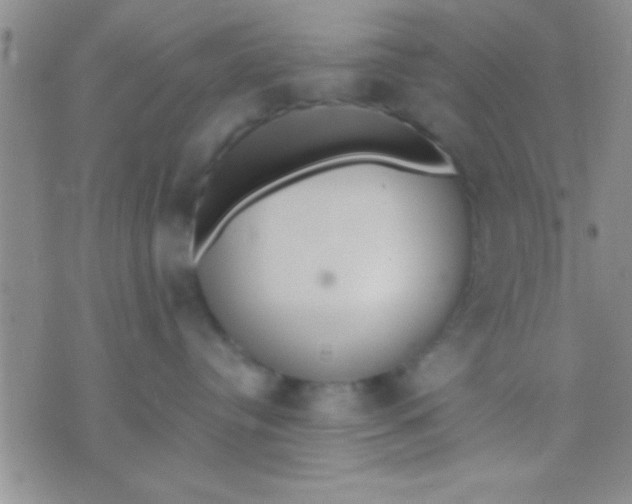 X0000071960384200607282039