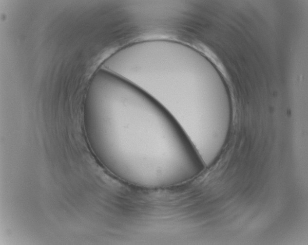 X0000071960385200607282038