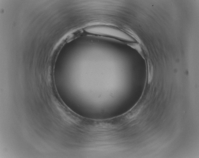 X0000071960387200607282038