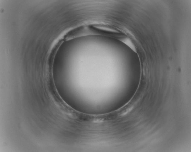 X0000071960388200607282038