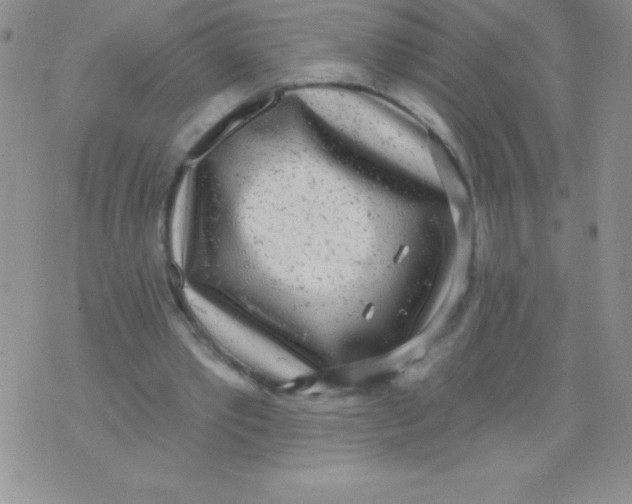 X0000071960389200607282038