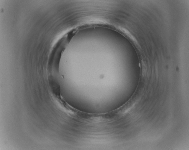 X0000071960391200607282038