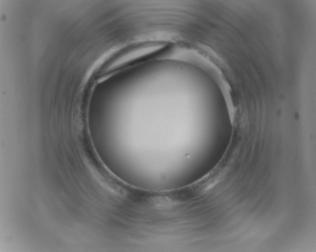 X0000071960392200607282038