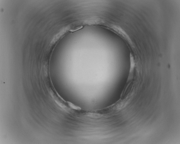 X0000071960393200607282038