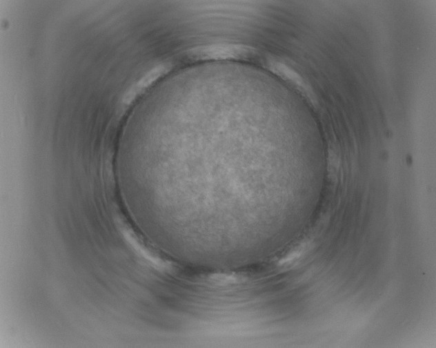 X0000071960394200607282038