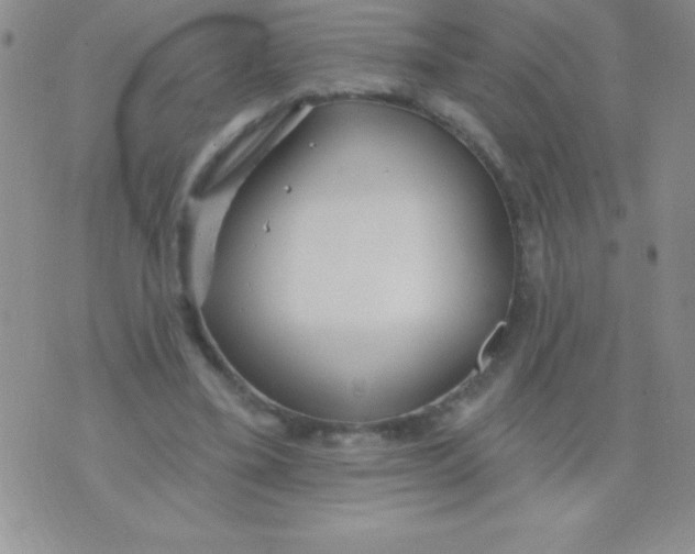 X0000071960395200607282038