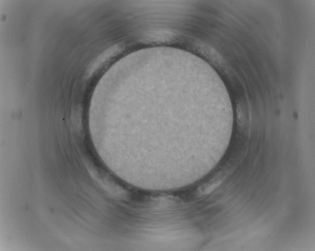 X0000071960396200607282038