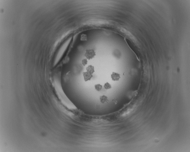 X0000071960399200607282038