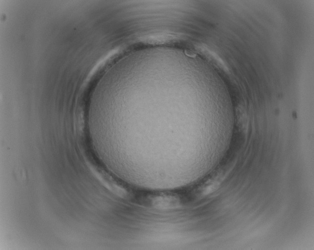 X0000071960400200607282038