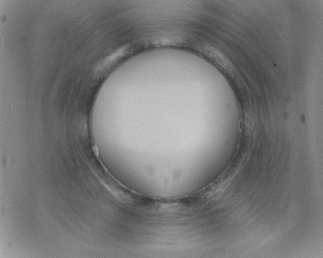 X0000071960401200607282038