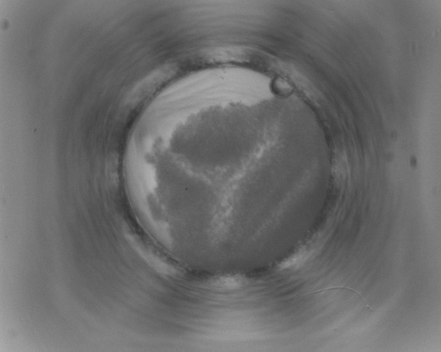 X0000071960402200607282038