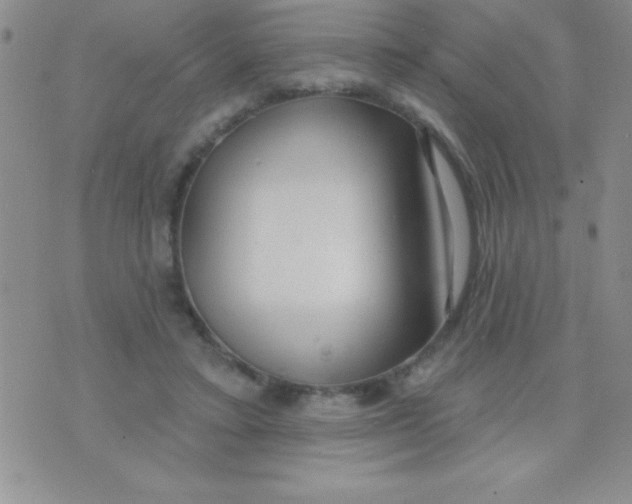 X0000071960403200607282038