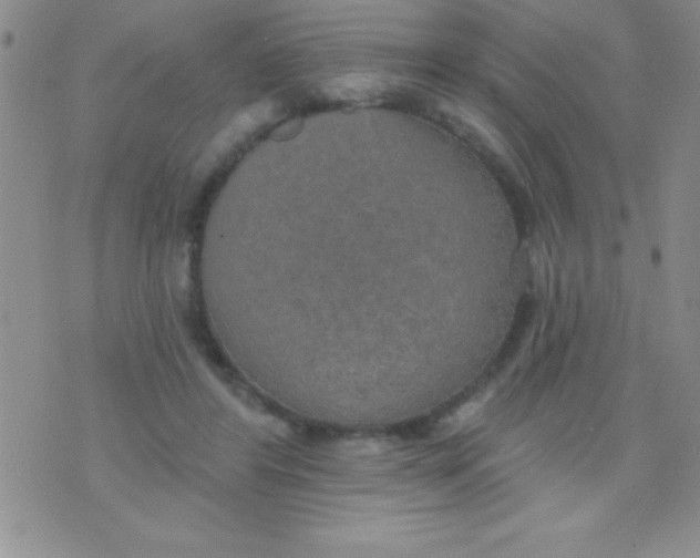 X0000071960404200607282038