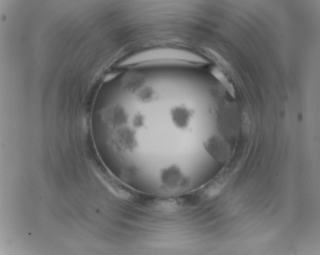 X0000071960405200607282038