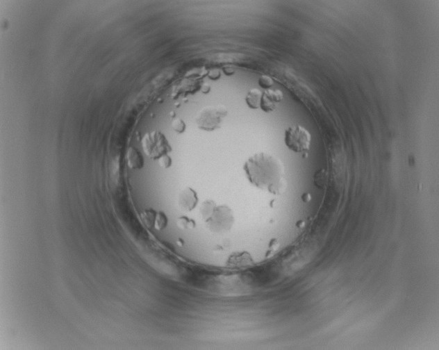 X0000071960406200607282038