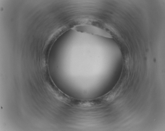 X0000071960407200607282038