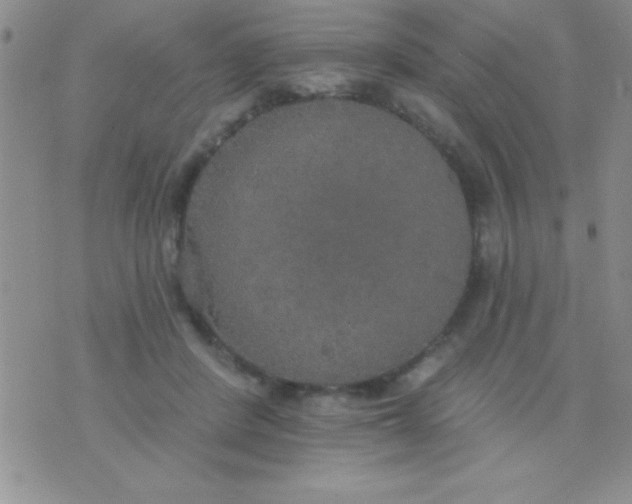 X0000071960408200607282038