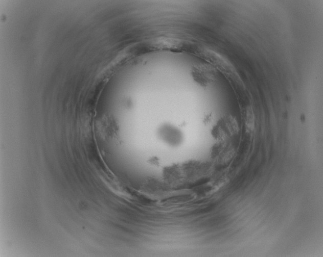 X0000071960409200607282038