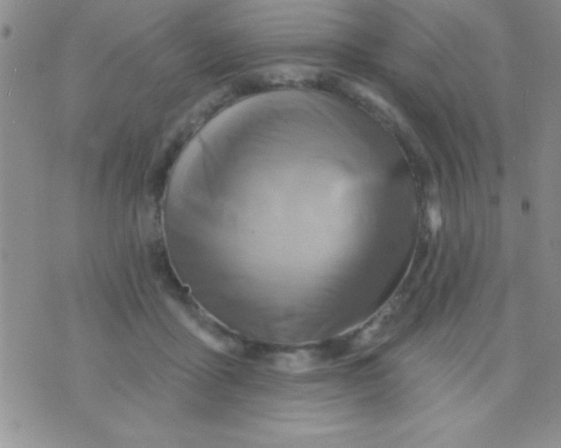 X0000071960411200607282038