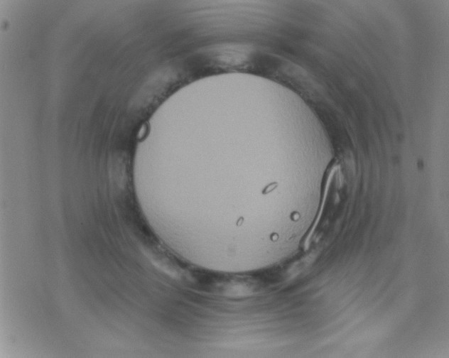 X0000071960412200607282038