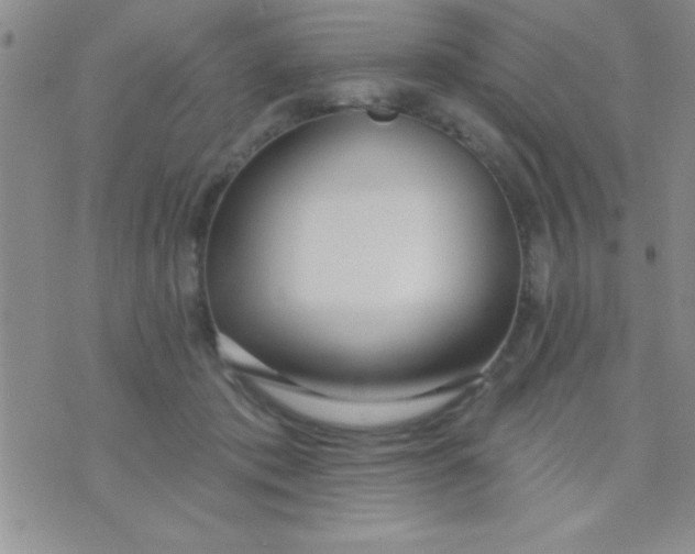 X0000071960413200607282038