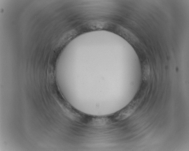 X0000071960414200607282038