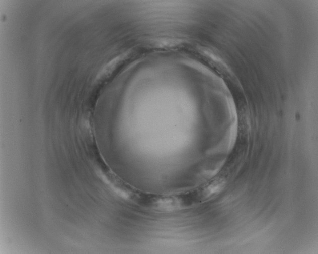 X0000071960415200607282038