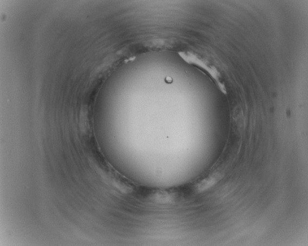 X0000071960416200607282038