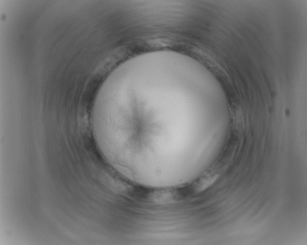 X0000071960418200607282038