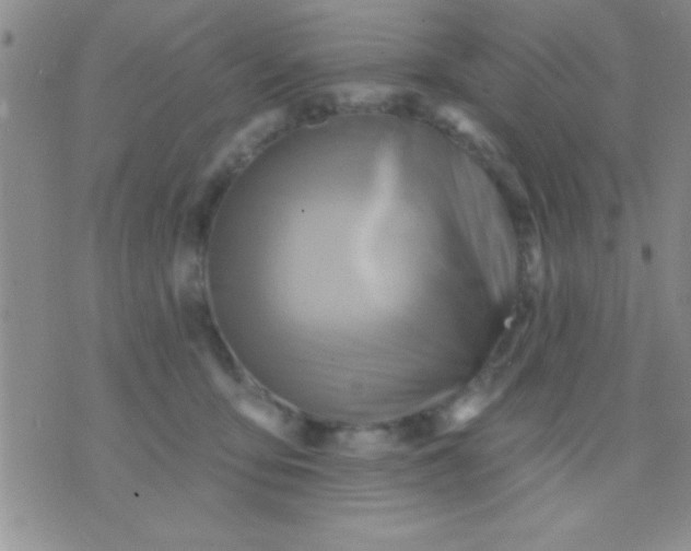 X0000071960419200607282038