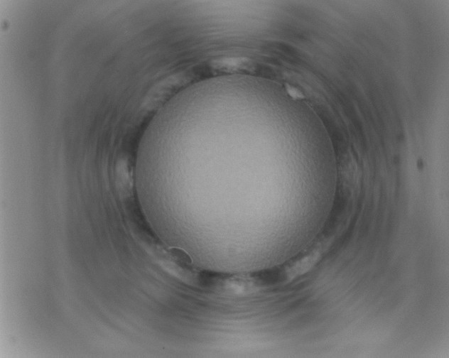 X0000071960420200607282038