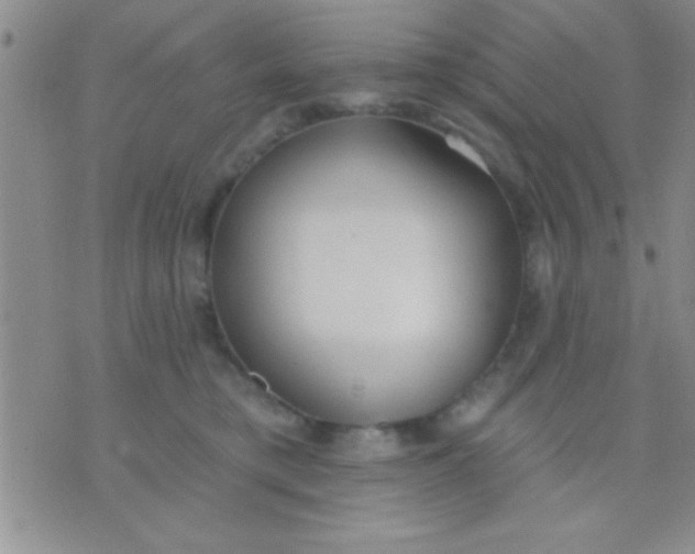 X0000071960421200607282038