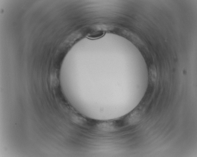 X0000071960422200607282038