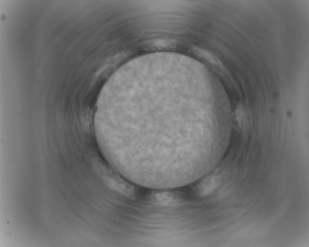 X0000071960423200607282038