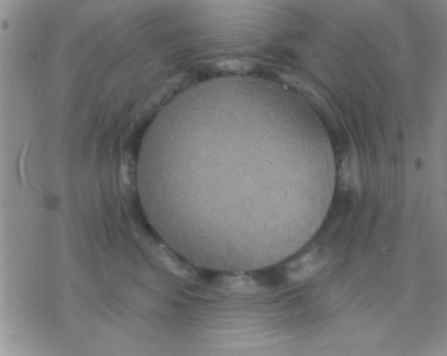 X0000071960424200607282038