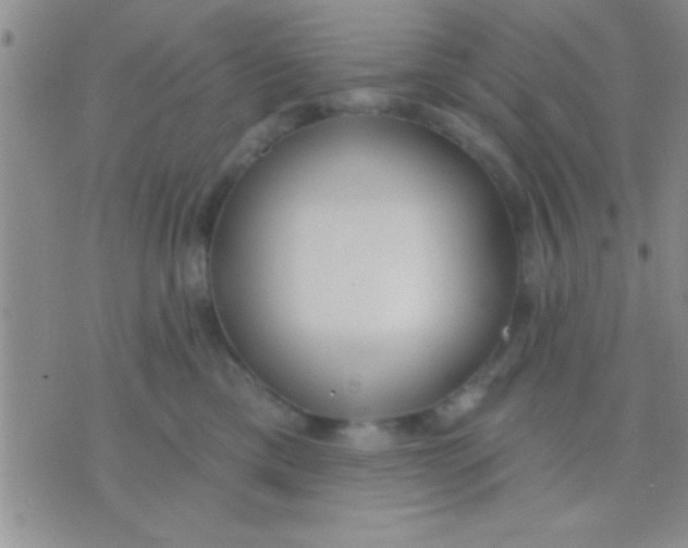 X0000071960425200607282038