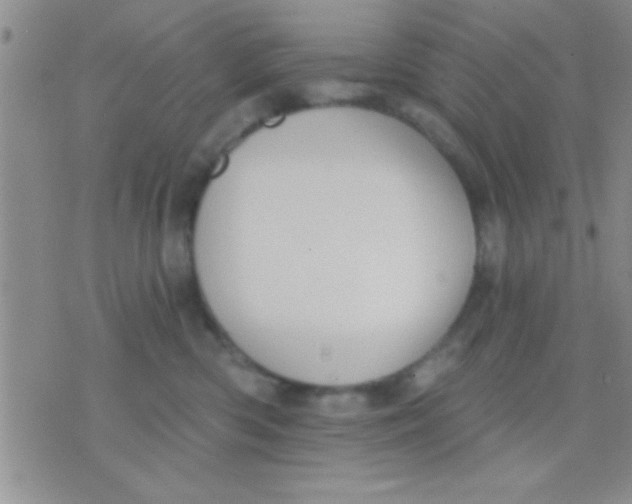 X0000071960426200607282038